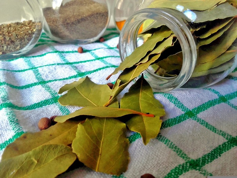 dried bay leaves to repel roaches